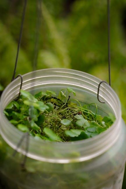 Strategies for Sustainable Growth in the New Cinema Landscape