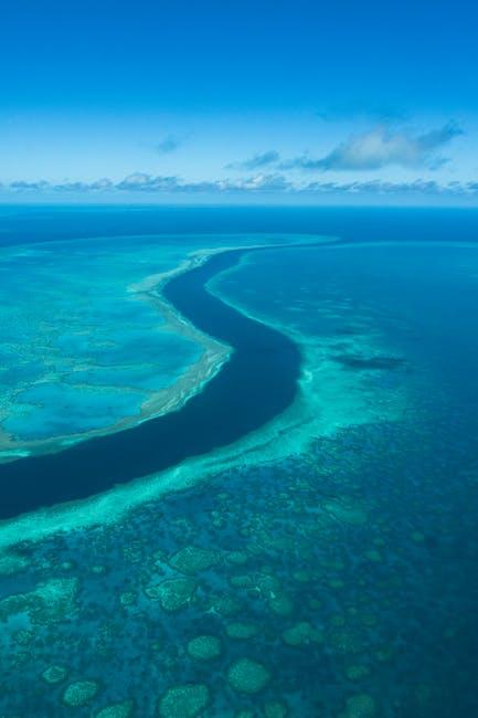 Unraveling the Impact on Marine and Terrestrial Ecosystems