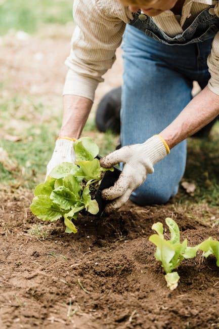 Measuring Success with Green Metrics and Transparent Reporting