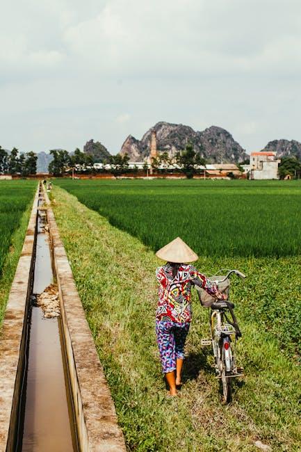 Strategies for Building Sustainable Remote Work Cultures