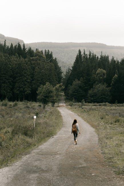 Actionable Recommendations from Trailblazing CEOs
