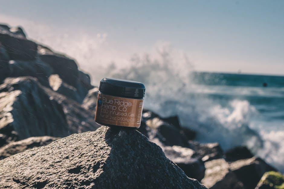 Wellness Waves Unveiled Understanding the Rising Health Movements