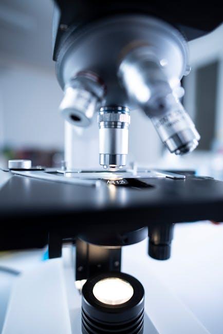 Recommendations for Fostering a Culture of Continuous Innovation