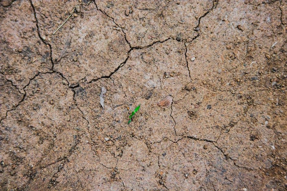 Building resilient institutions for a climate-conscious global order