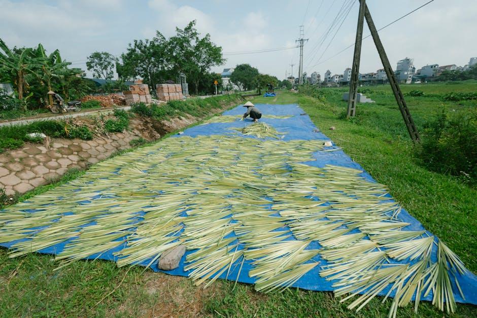 Embracing Eco-Innovation to Drive Long-Term Growth