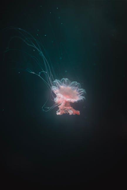 Strategies for Preserving Fragile Deep Sea Habitats