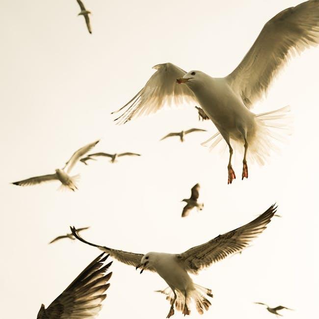 Adapting diplomatic strategies for climate-induced migration