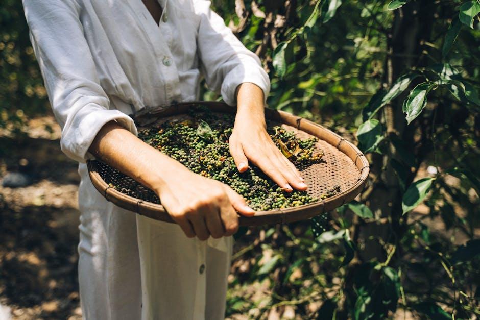 Cultivating Corporate Cultures for Sustainable Growth